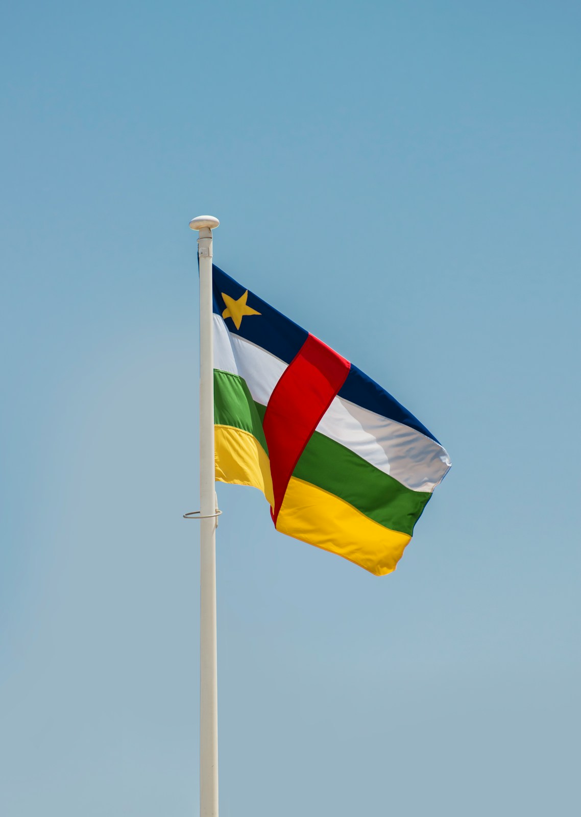 a flag on a pole