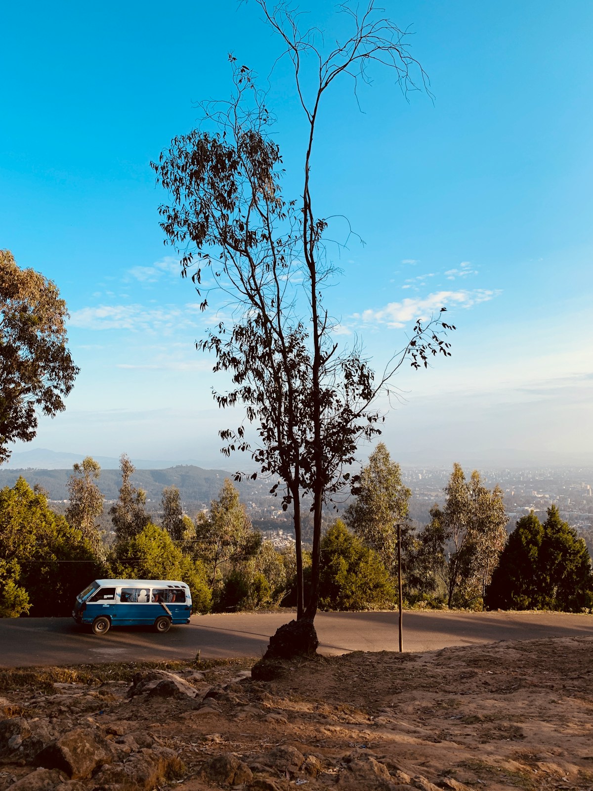 white and blue bus near road surrounded with green trees under blue and white sky
