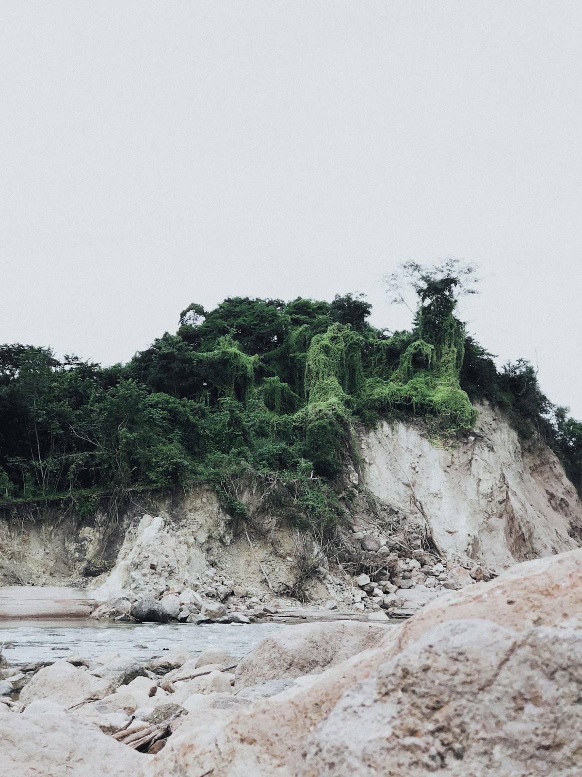 a small island with trees on top of it