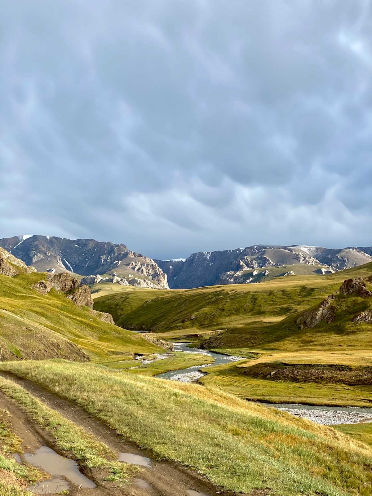 Green valley with mountains under a cloudy sky