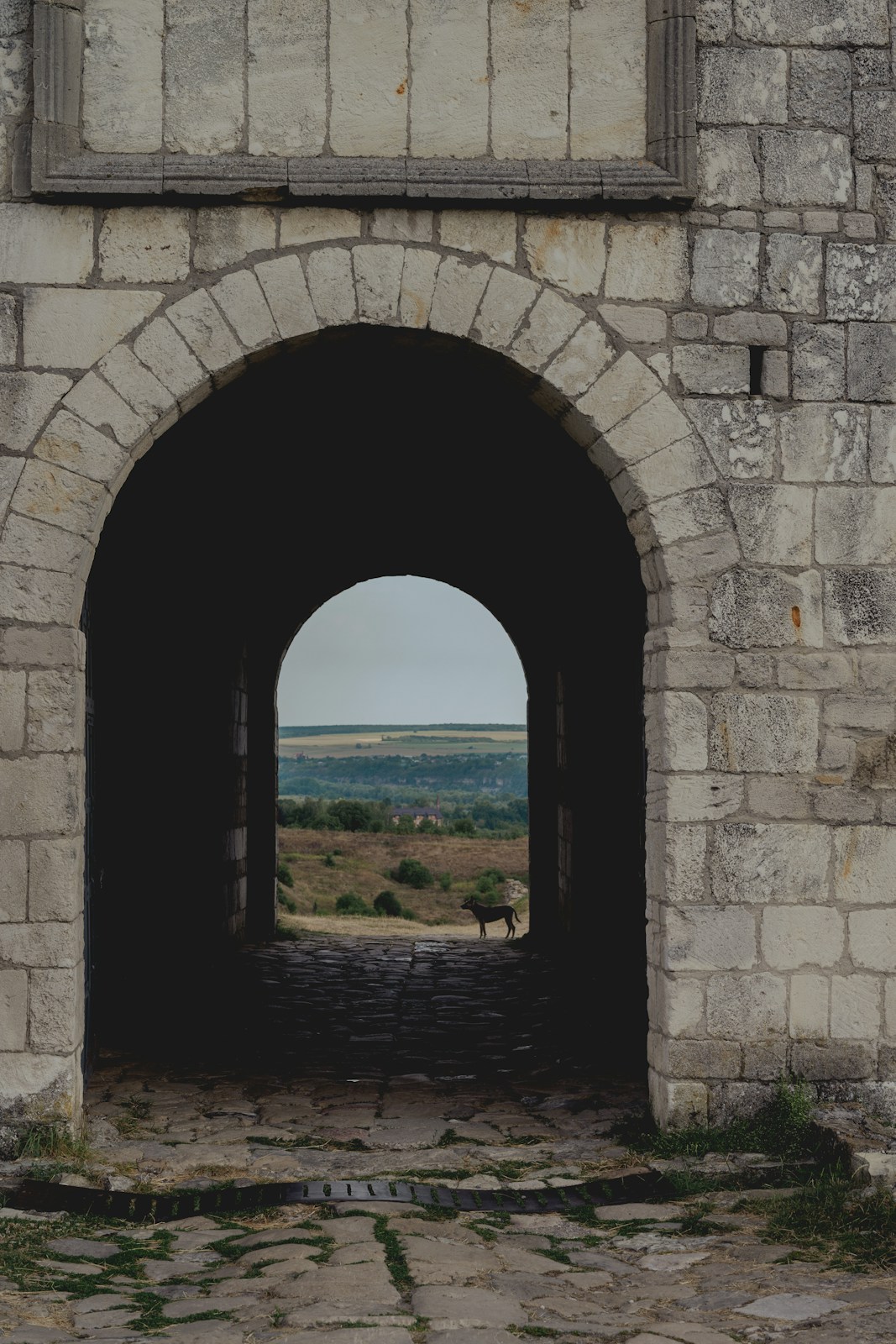A dog in silhouette framed by a stone archway overlooking a distant valley
